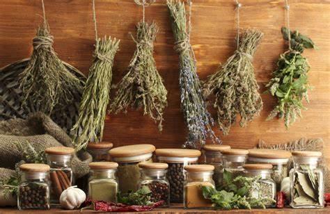 aromáticas y medicinales, hierbas, deshidratador