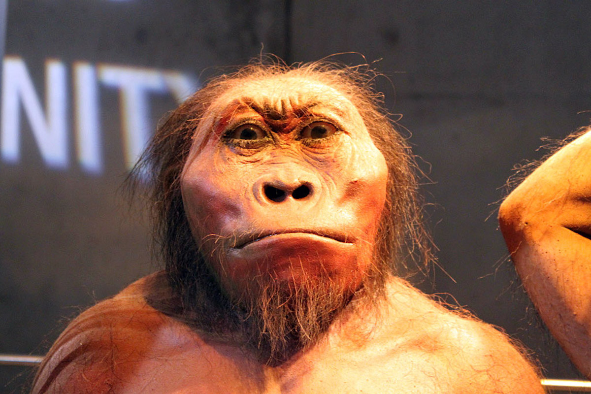 Humans almost became extinct 900,000 years ago


