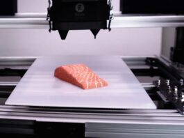 The world's first 3D printed vegan salmon is now available in supermarkets

