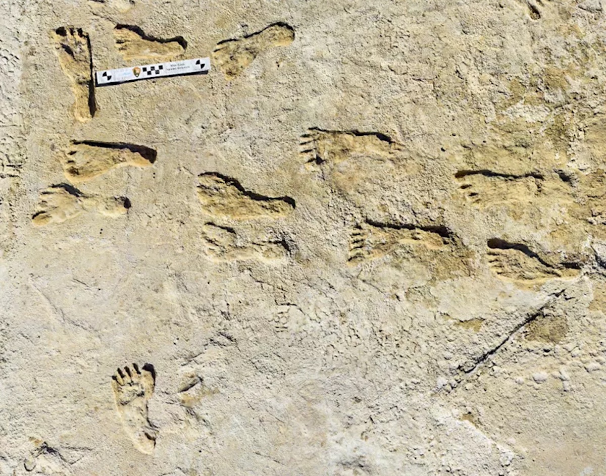 These are the oldest human footprints in North America

