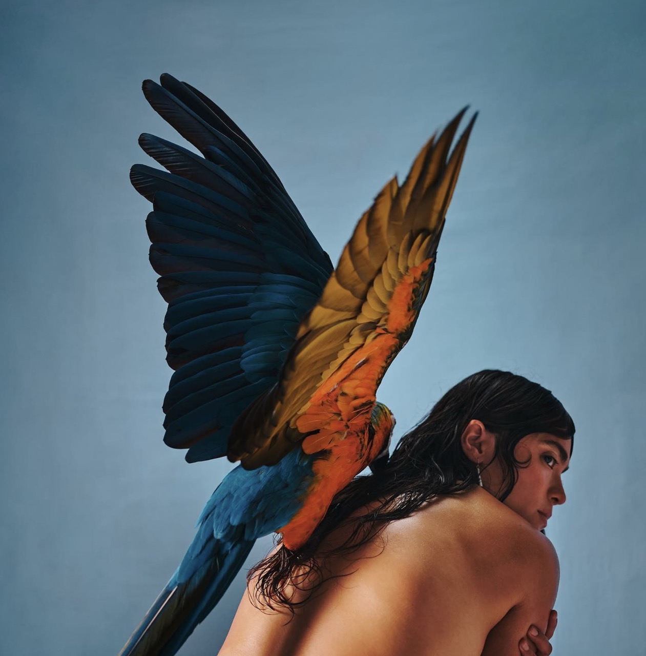 The activist musical breathing space of the Mexican Fabi Reyna Tropical Queen to your playlist