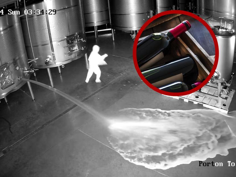 Attack on Bodegas Cepa 21. Screenshot of the security video, courtesy of Bodegas Cepa 21