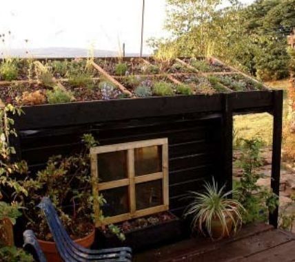 6 easy steps to make a green roof


