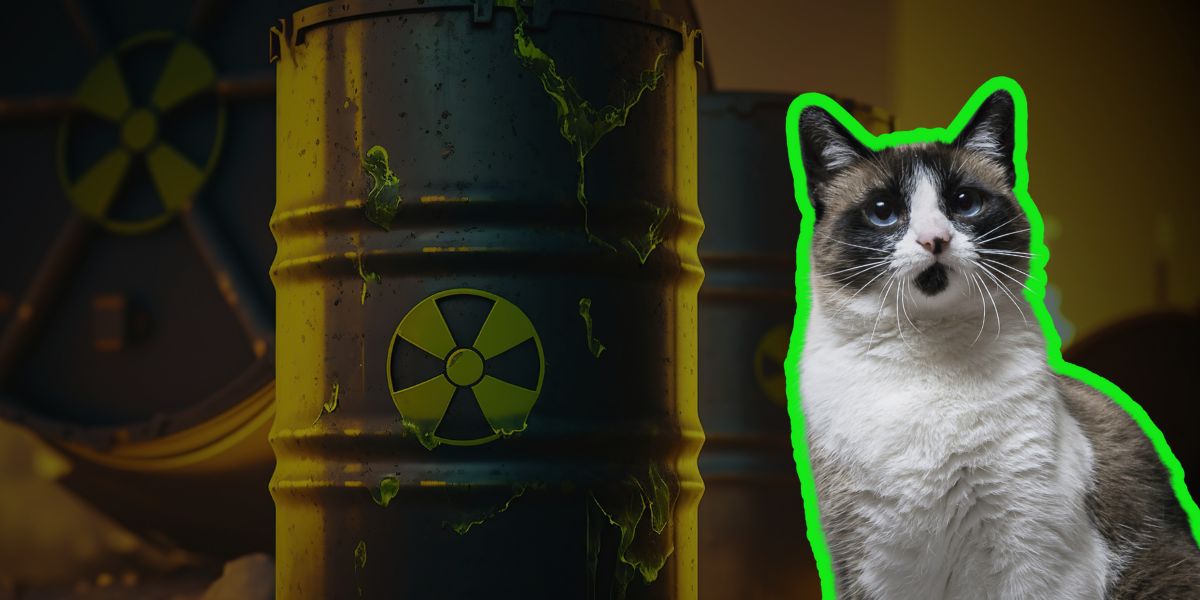 Un gato ‘tóxico’ tiene en alerta a una ciudad japonesa luego de que cayera en un peligroso químico