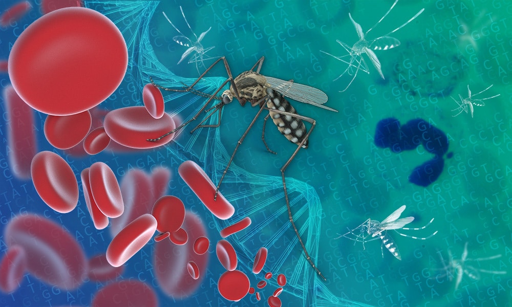 The malaria parasite, a master of genetic copying and pasting

