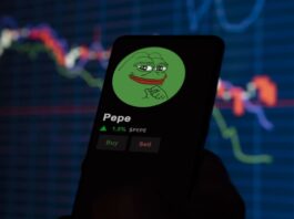 Explosive Growth of Memecoins: Bubble or Permanent Value?

