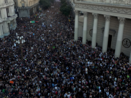 Massive march against the Milei government: thousands demanded cuts to education



