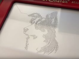This Raspeberry Pi can draw any image on a Telesketch

