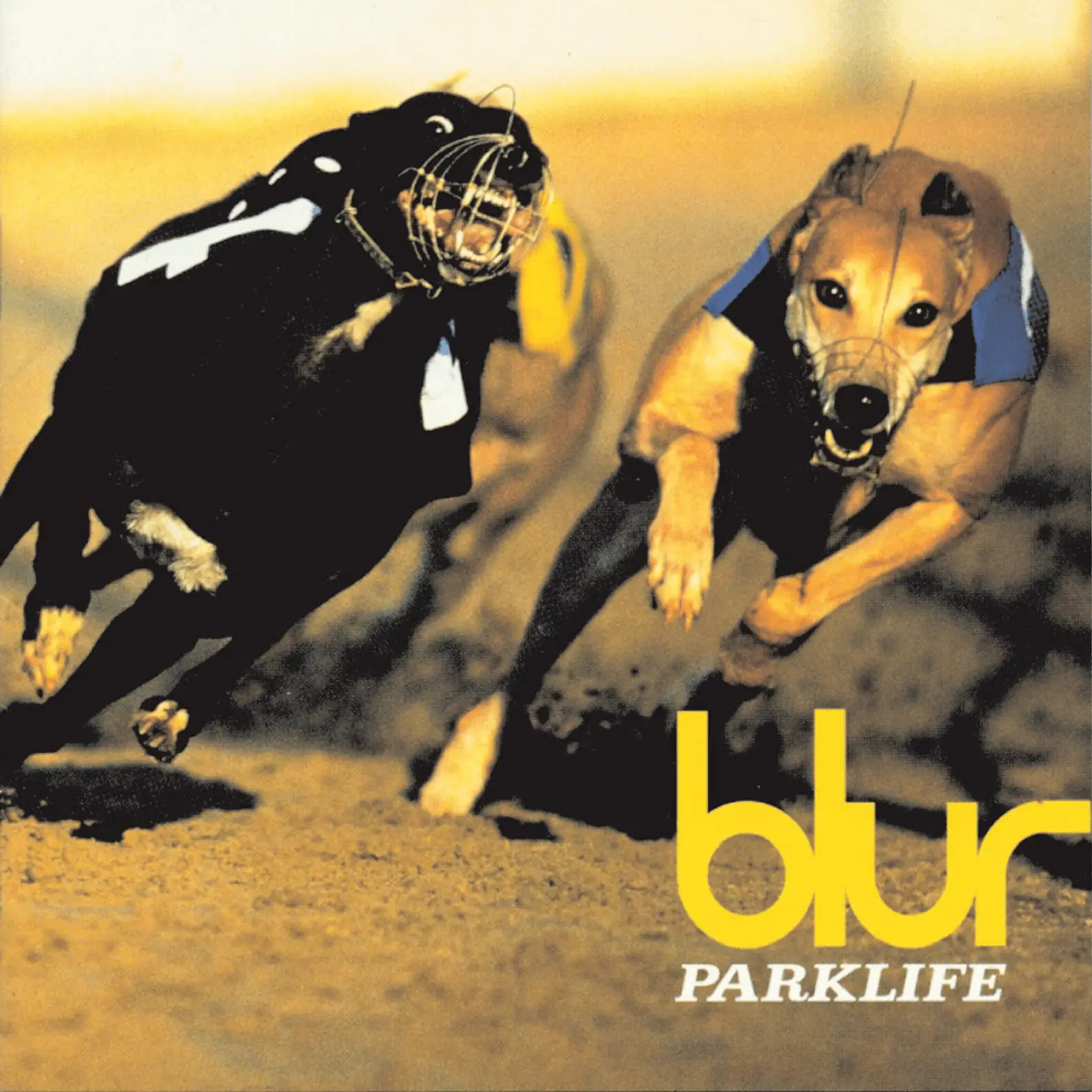 parklife blur album