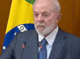 Lula assured that Milei said "a lot of stupid things" and that he will not talk to him until he apologizes to Brazil


