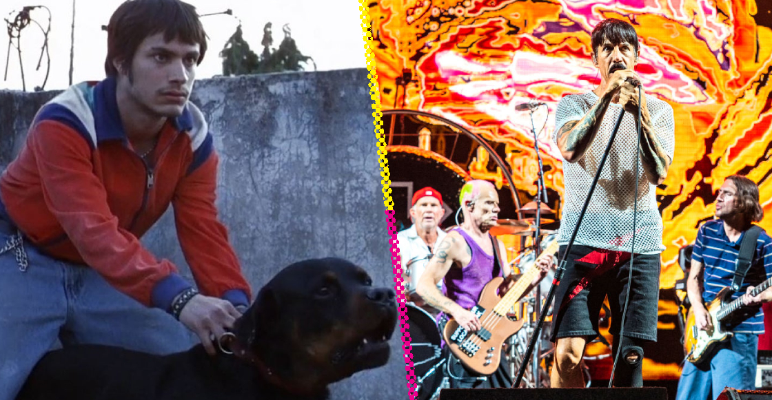 The 'Amores Perros' scene that inspired a Red Hot Chili Peppers music video
