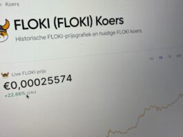 Counterfeit FLOKI Tokens in Circulation: Warning to Investors
