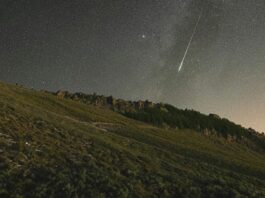 What are all the meteor showers of summer 2024 and what day is best to chase them?
