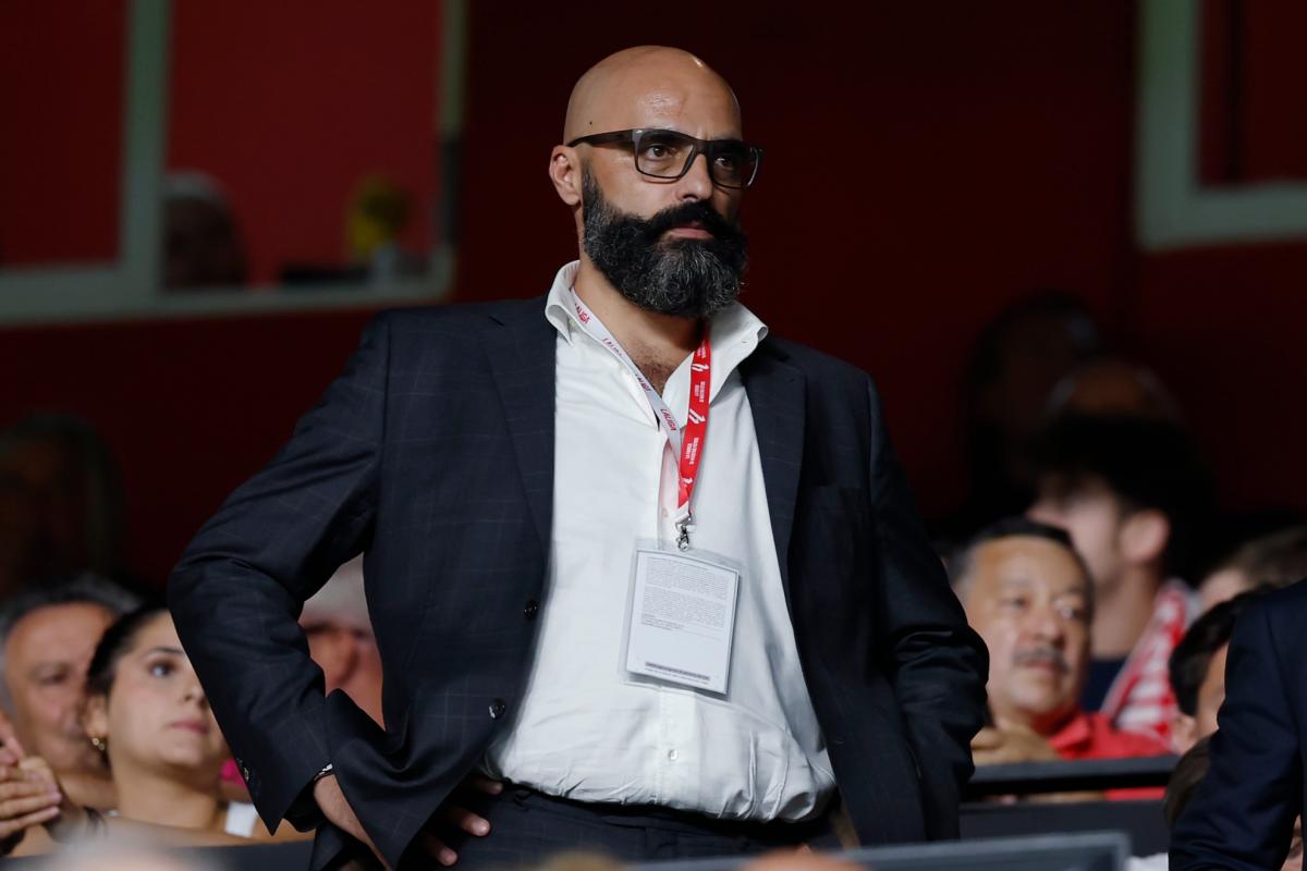 Andrea Berta's Mysterious Disappearance Sparks Global Investigation