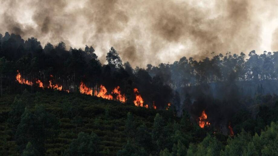 Portugal Wildfires Cut Four National Roads in Four Districts Fire blazing near Monte Moção, in the Santa Eulália parish, Arouca
