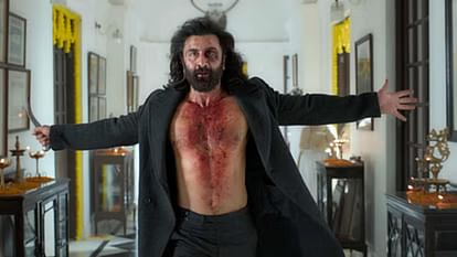 71st National Awards: 'Jawan', 'Animal' to 'Sam Bahadur', these Hindi films shined at the 71st National Awards 71st national awards bollywood winners shahrukh khan rani mukerji vikrant hindi cinema