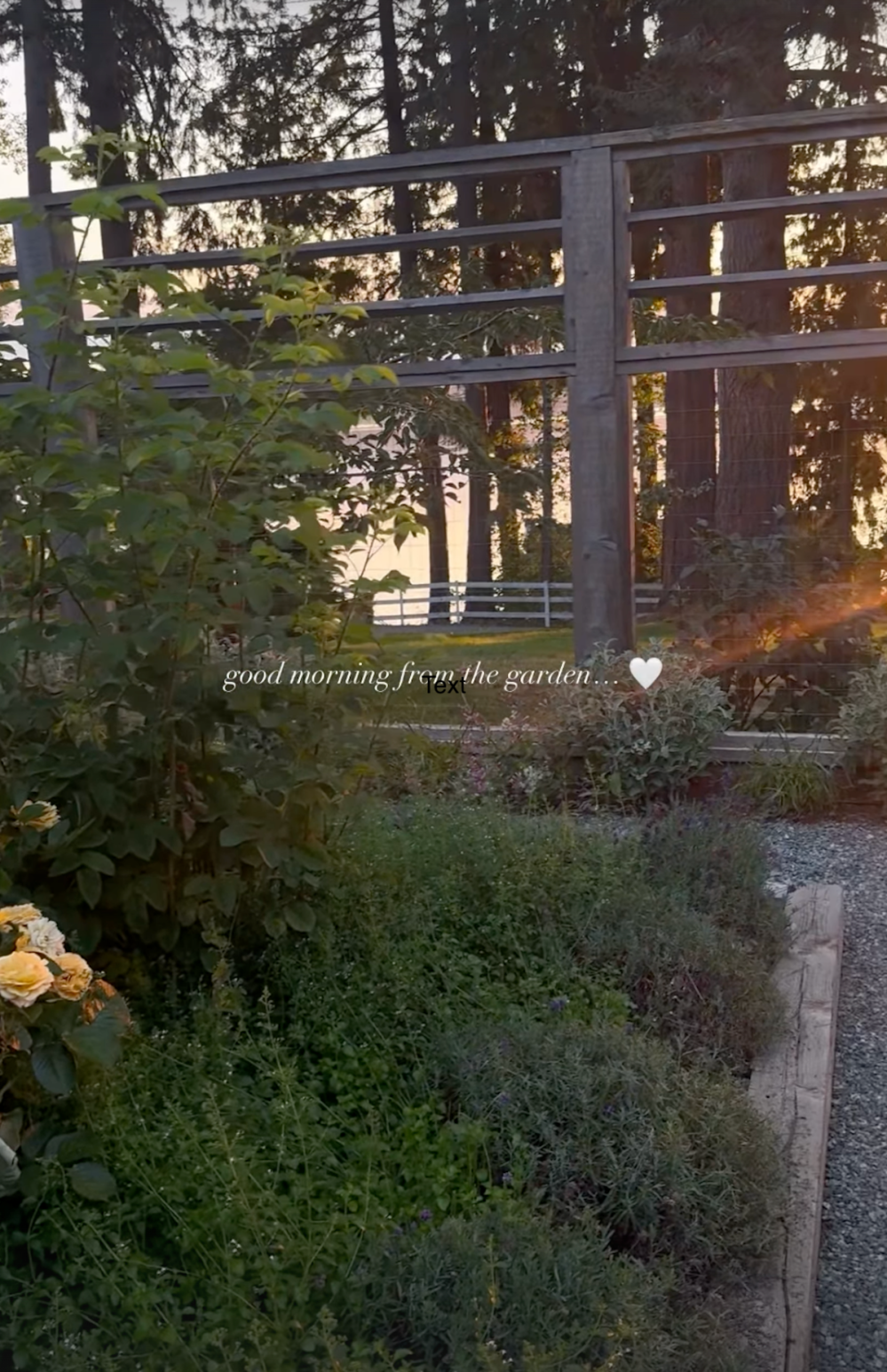 Pamela Anderson's garden at her Canada home Photos of her oasis