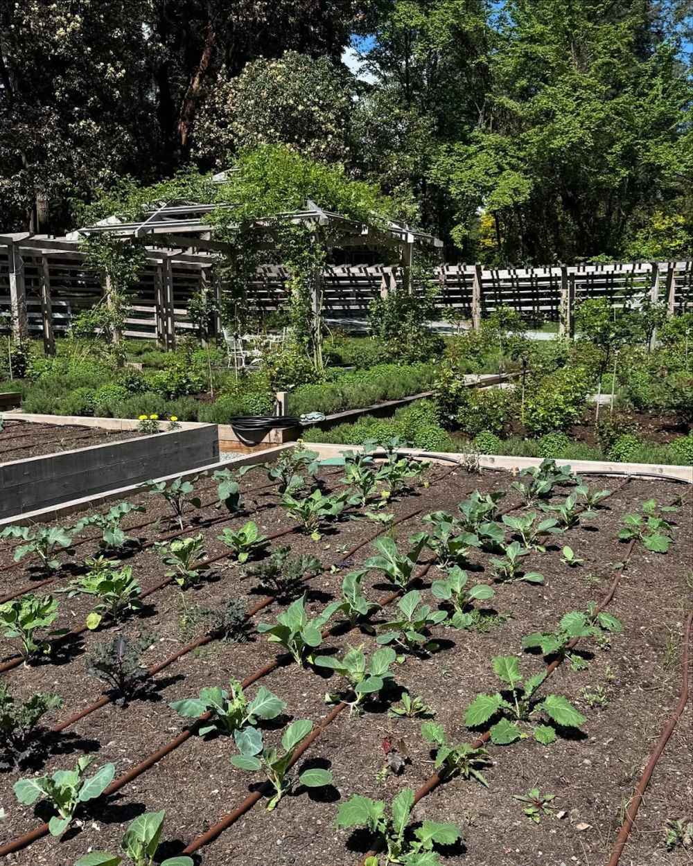 Pamela Anderson's garden at her Canada home Photos of her oasis