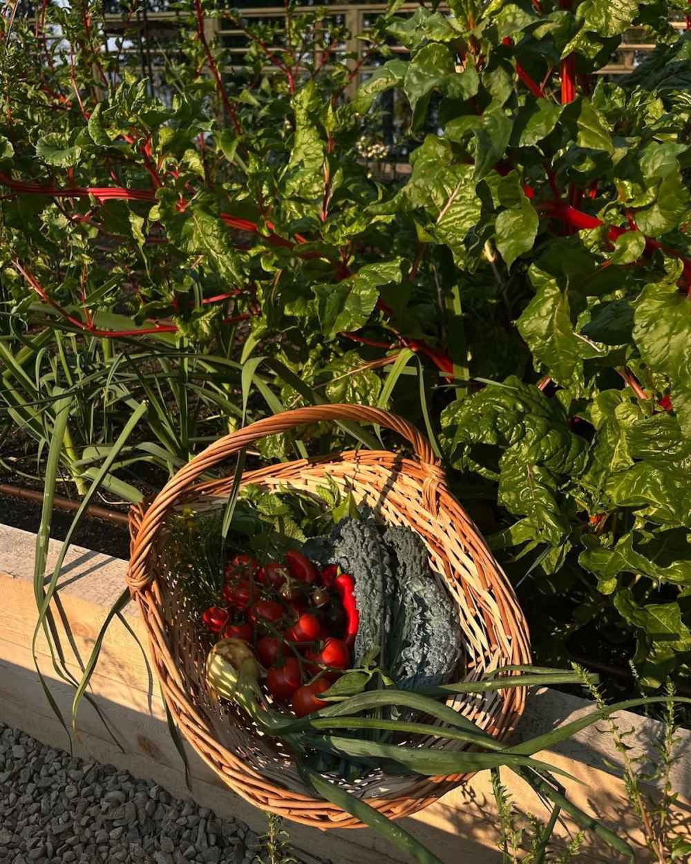 Pamela Anderson's garden at her Canada home Photos of her oasis