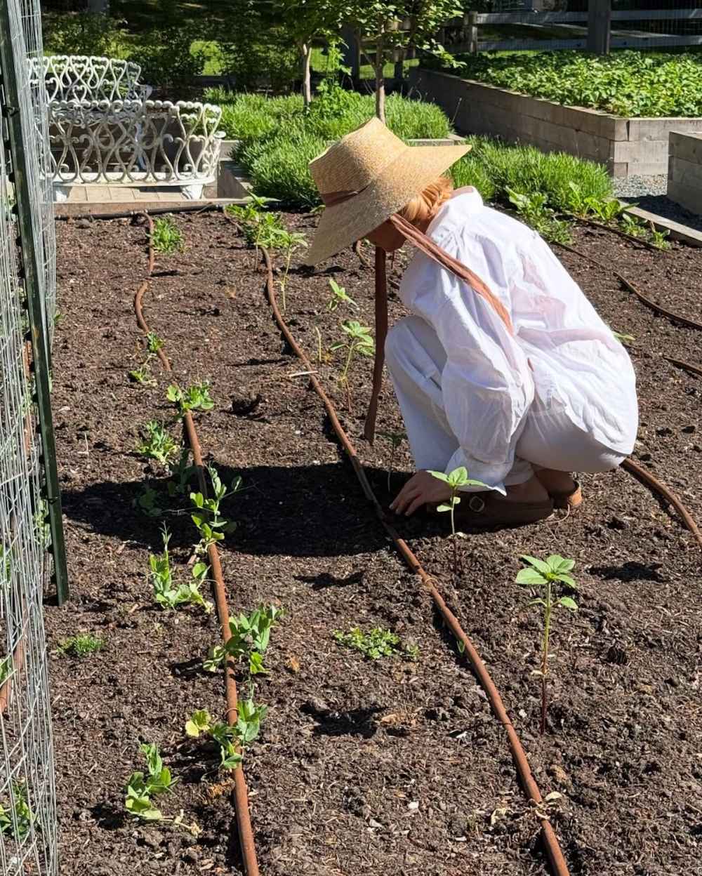 Pamela Anderson's Garden at Her Canada Home Photos of Her Oasis