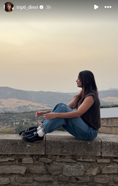 Triptii Dimri Instagram Story