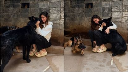 Rasha Thadani gave shelter to two Stray Dogs and a cat in house says we opened our hearts and home for them