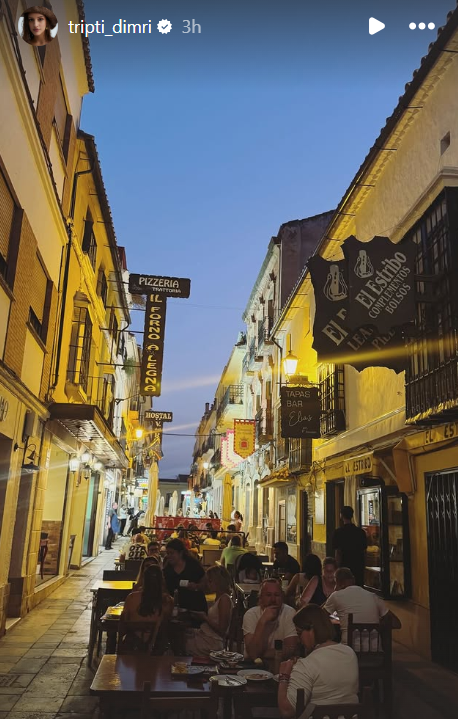 Triptii Dimri Instagram Story