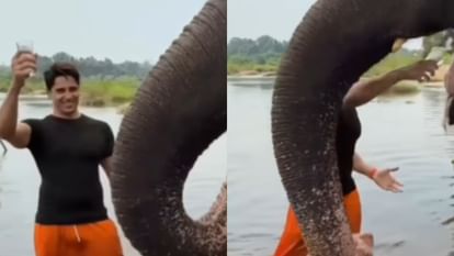 Sidharth Malhotra was badly trolled for giving water to an elephant on the set of 'Param Sundari'.