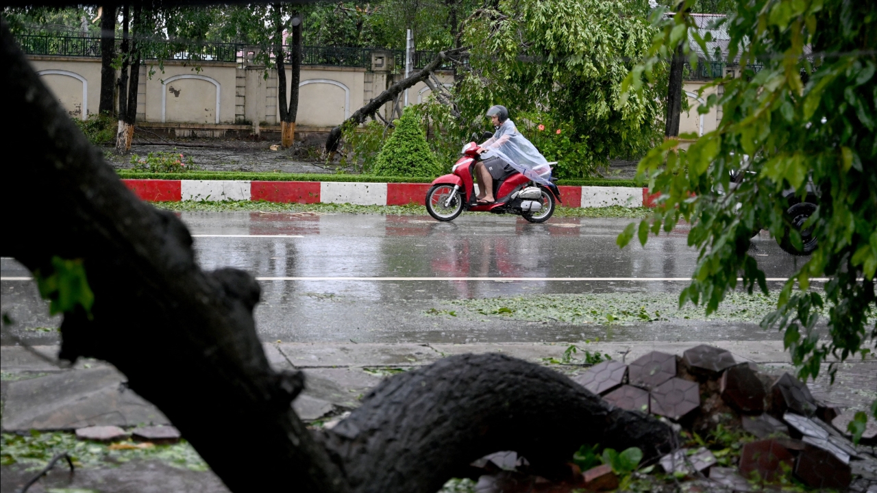 Typhoon "Bualoi" makes landfall in Vietnam; 86 homes damaged, 1 dead, hundreds of flights cancelled/delayed.