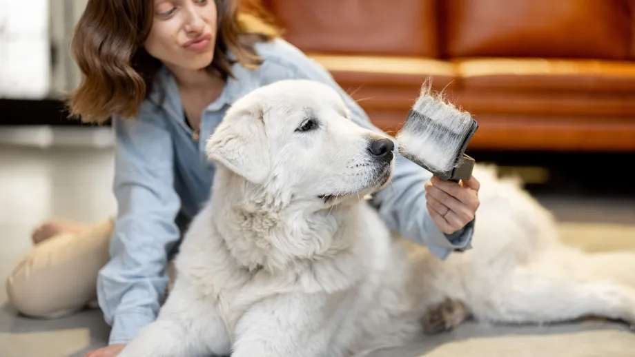 It's shedding season! And there are cares to take with each animal