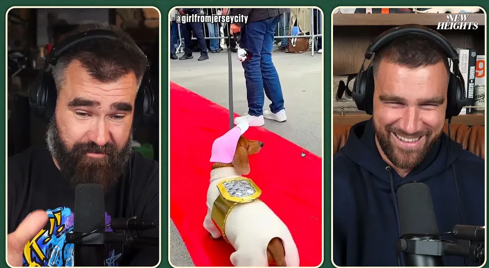 Travis Kelce Calls Dog Dressed as Taylor Swift Ring 'Hilarious' Travis Kelce reacts to a dog dressed as Taylor engagement ring for Halloween