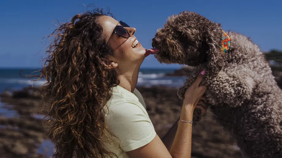 Understanding Dog Licks: More Than Just Affection Is a player's gesture always what it seems? Uncover the true messages behind their actions.
