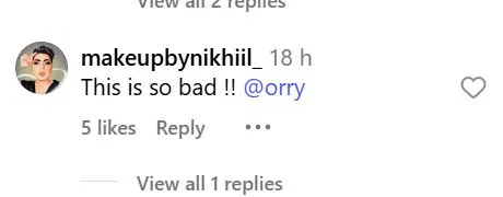 1762637072 173 Influencer Orry Slammed for Insensitive Transgender Community Post