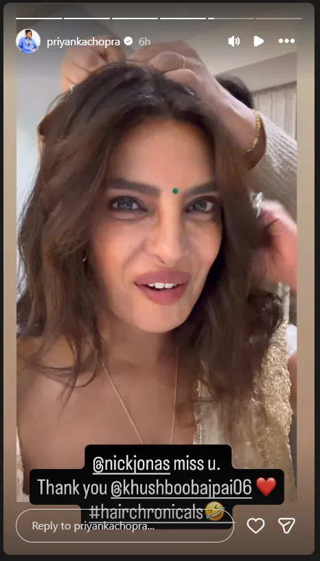 Priyanka Chopra's Instagram story